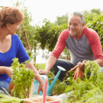The Therapeutic Oasis: Unveiling the Transformative Power of Gardening