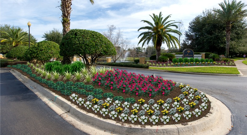 Revolutionizing Landscaping: Unveiling the Artistry of Nature
