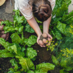 The Art of Gardening: Cultivating Nature’s Symphony