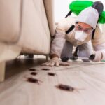 Pest Control and Prevention Services in Malaysia