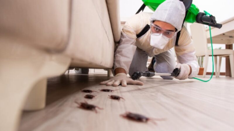 Pest Control and Prevention Services in Malaysia