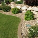 Transforming Your Yard: Landscaping After Pool Removal