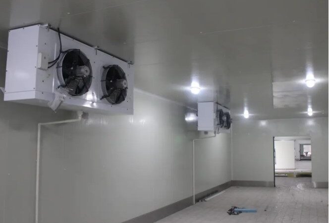 Designing and Building an Optimal Cold Storage for Fresh Produce Preservation