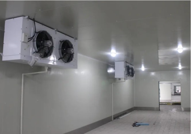 Designing and Building an Optimal Cold Storage for Fresh Produce Preservation